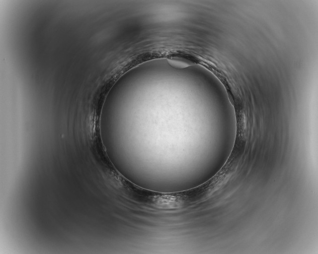X0000094380230200711021232