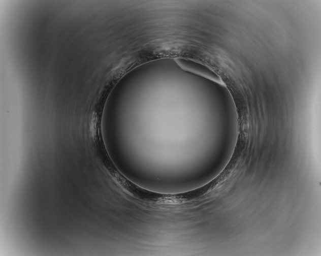 X0000094380231200711021232