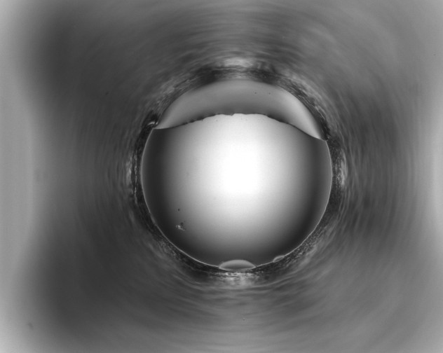X0000094380233200711021232