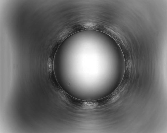 X0000094380234200711021232