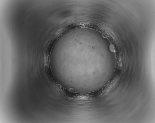 X0000094380236200711021232
