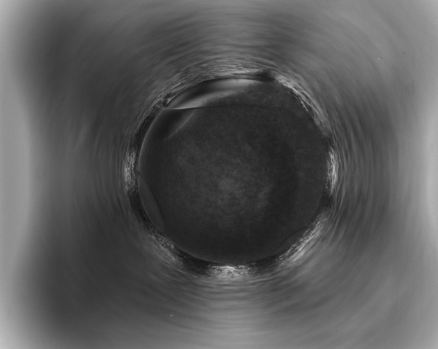 X0000094380239200711021231
