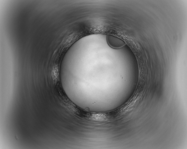 X0000094380240200711021231