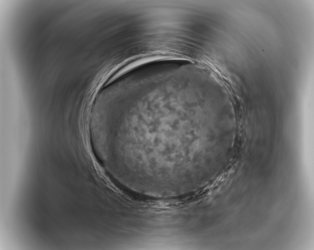 X0000094380241200711021231