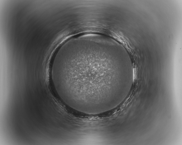 X0000094380243200711021231