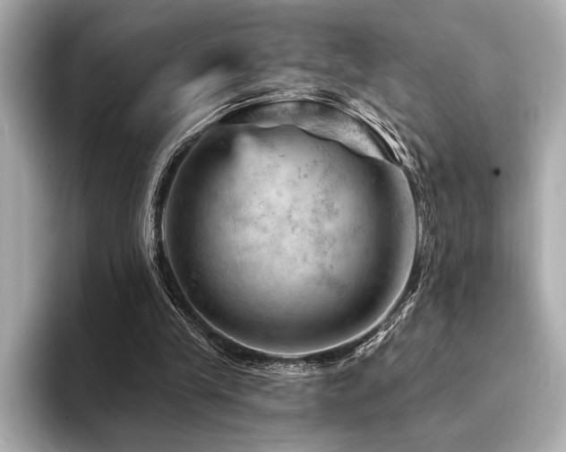 X0000094380245200711021231