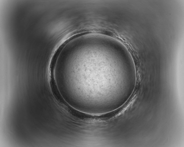 X0000094380246200711021231