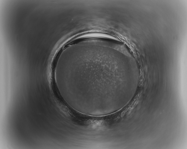 X0000094380247200711021231