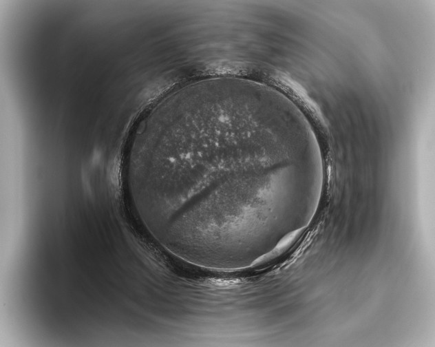 X0000094380250200711021231