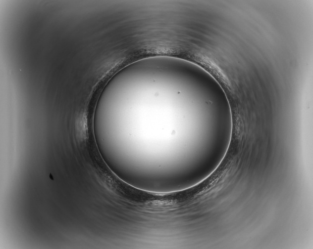 X0000094380251200711021231