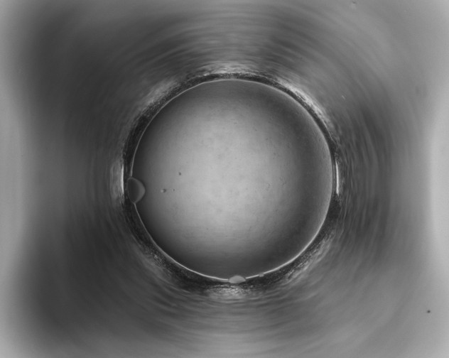 X0000094380253200711021231