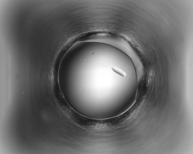 X0000094380256200711021231
