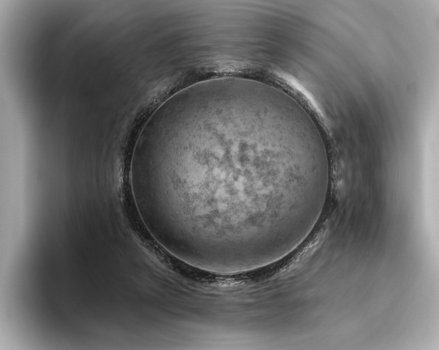 X0000094380257200711021231