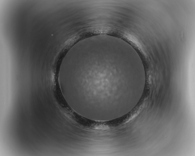 X0000094380258200711021231