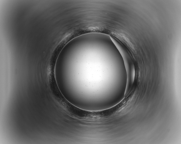 X0000094380260200711021231