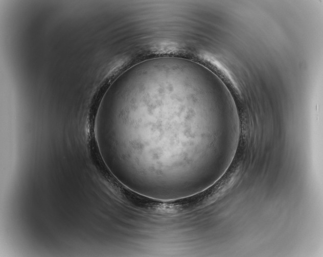 X0000094380261200711021231