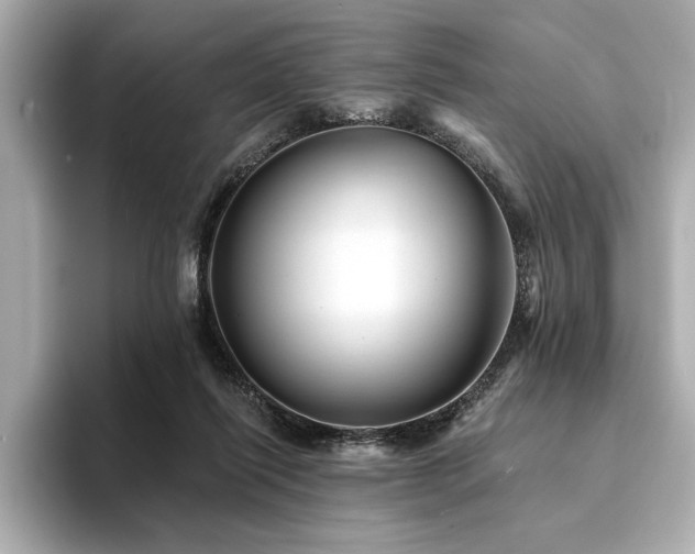 X0000094380262200711021231