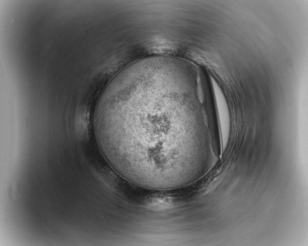 X0000094380263200711021231