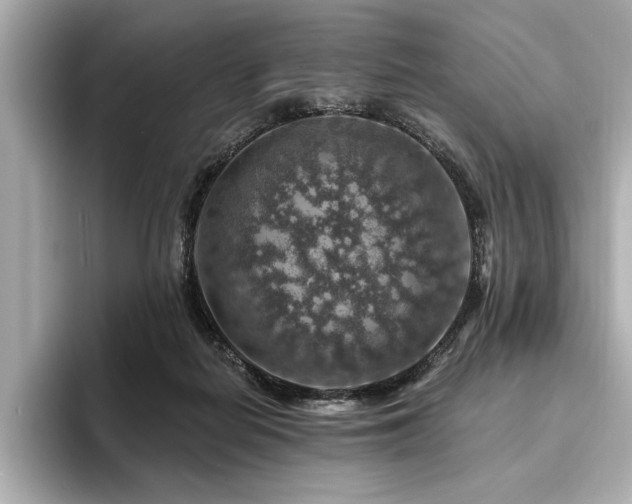 X0000094380266200711021231