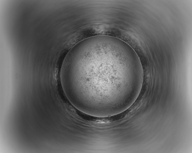 X0000094380275200711021231