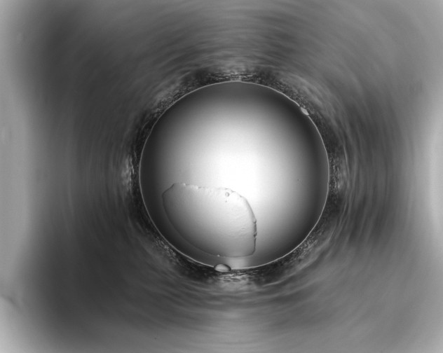 X0000094380279200711021231