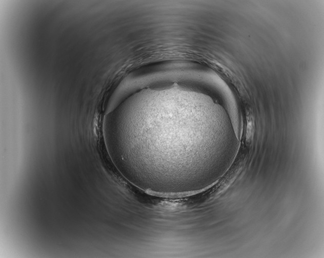 X0000094380280200711021231