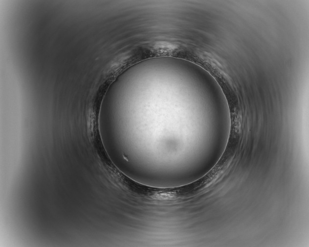 X0000094380283200711021231