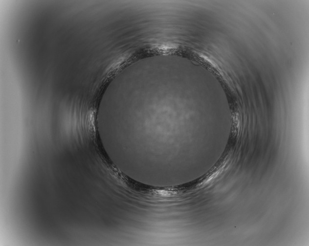 X0000094380286200711021231