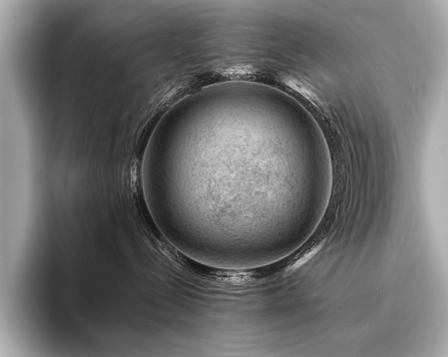 X0000094380288200711021231