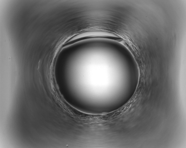 X0000094380289200711021231