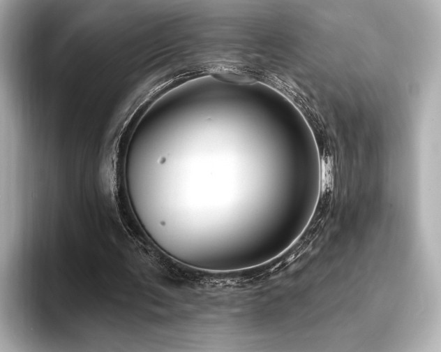 X0000094380291200711021231