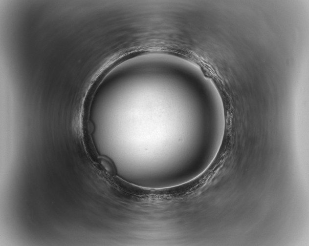 X0000094380292200711021231