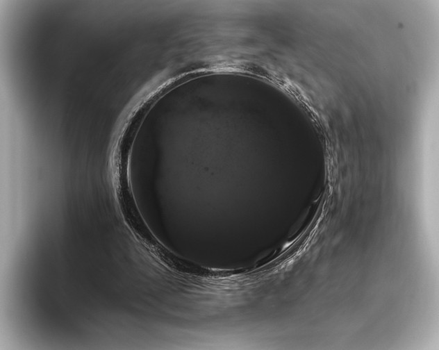 X0000094380295200711021231