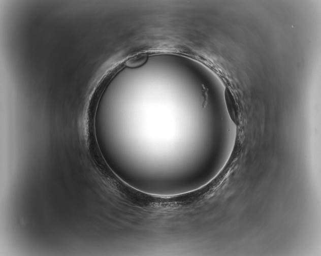 X0000094380296200711021231