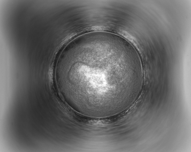 X0000094380297200711021231