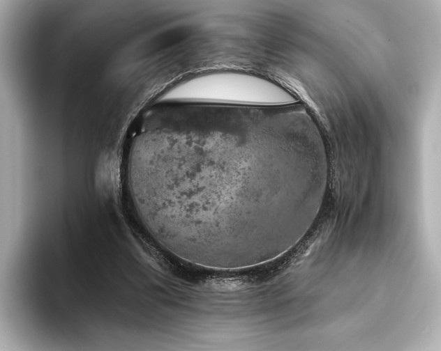 X0000094380299200711021231