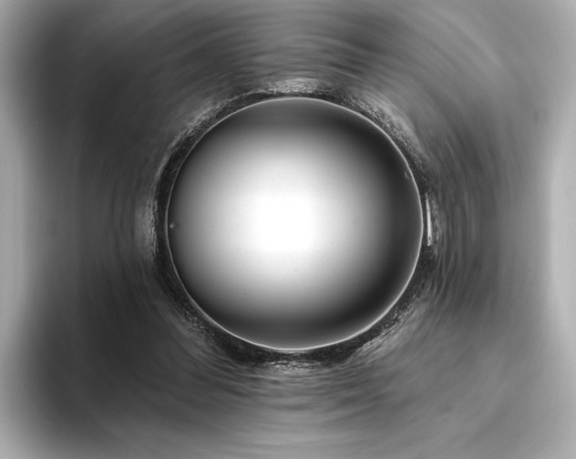 X0000094380300200711021231