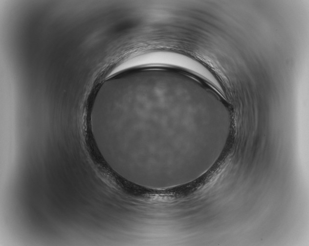 X0000094380303200711021231
