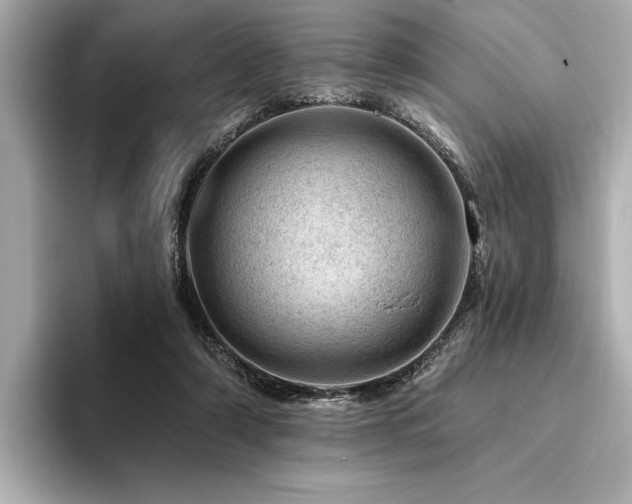 X0000094380306200711021231