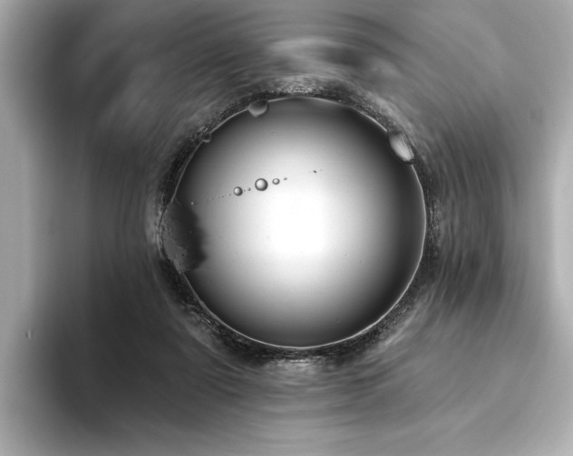 X0000094380307200711021231