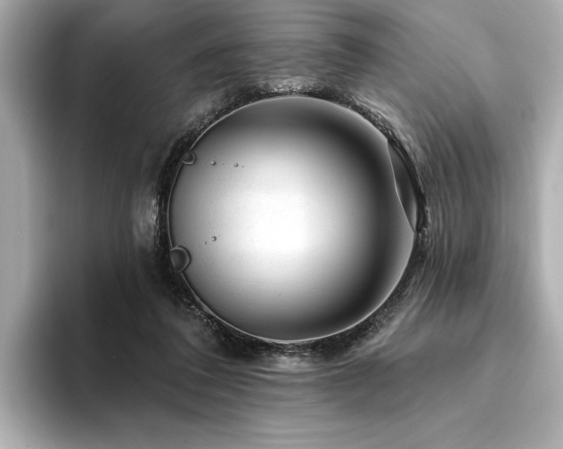 X0000094380308200711021231