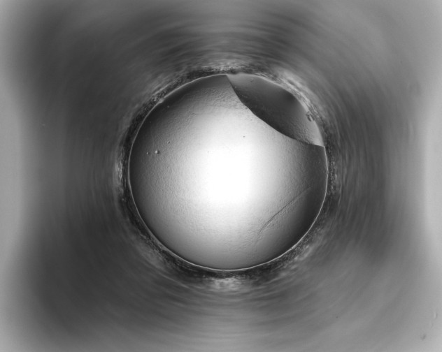 X0000094380309200711021231
