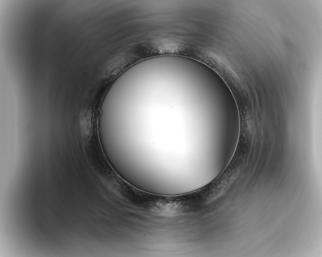 X0000094380311200711021231