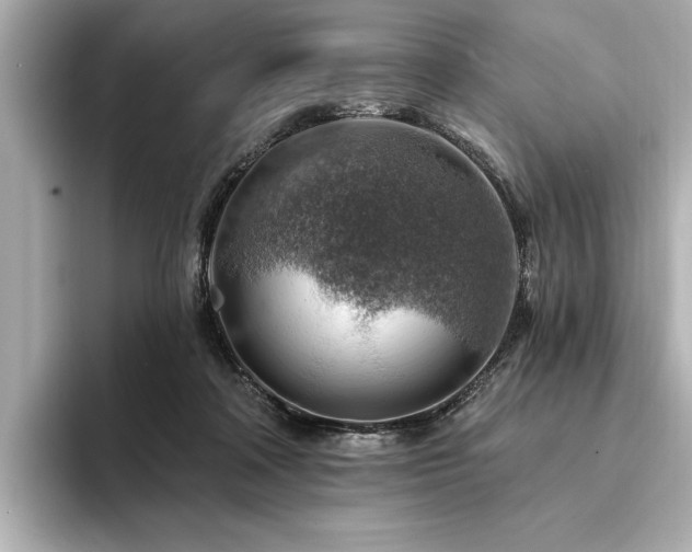 X0000094380314200711021231