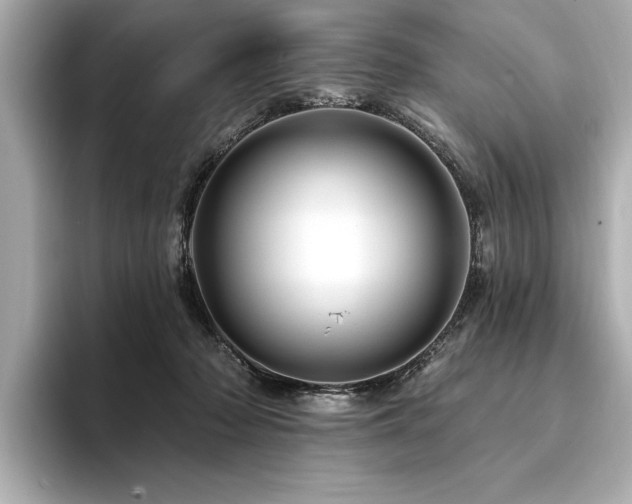 X0000094380318200711021231