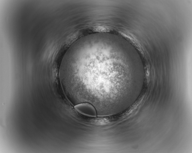 X0000094380322200711021231