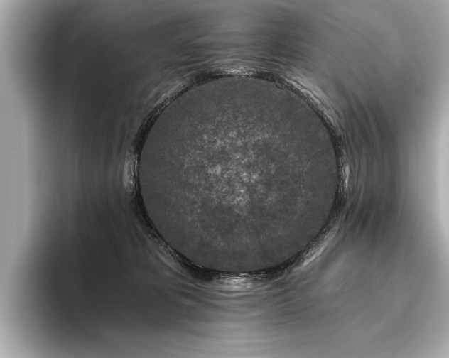 X0000094380325200711021230