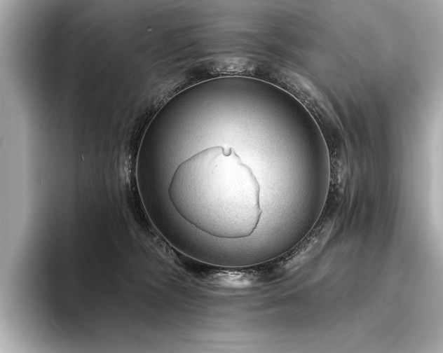 X0000094380326200711021230