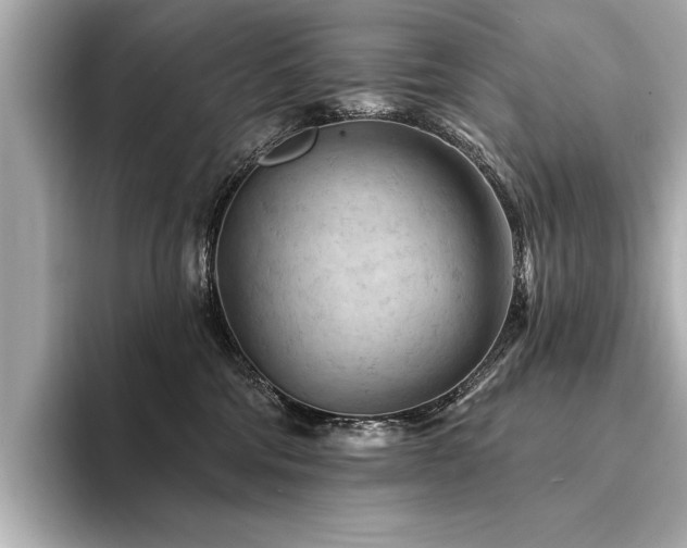 X0000094380330200711021230
