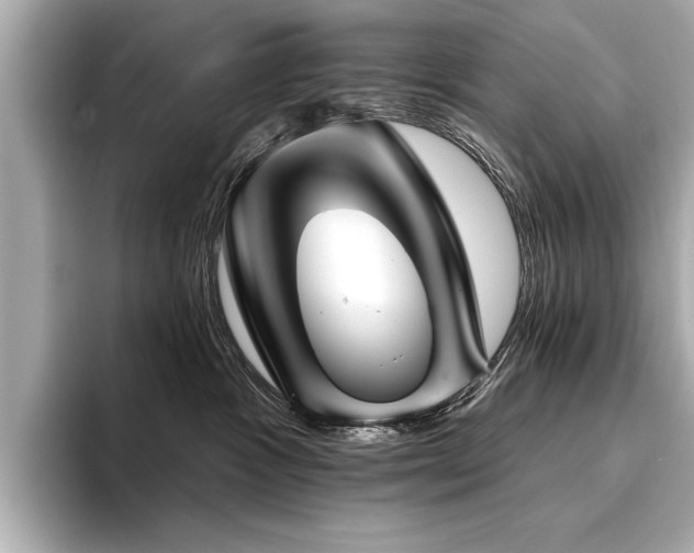 X0000094380333200711021230